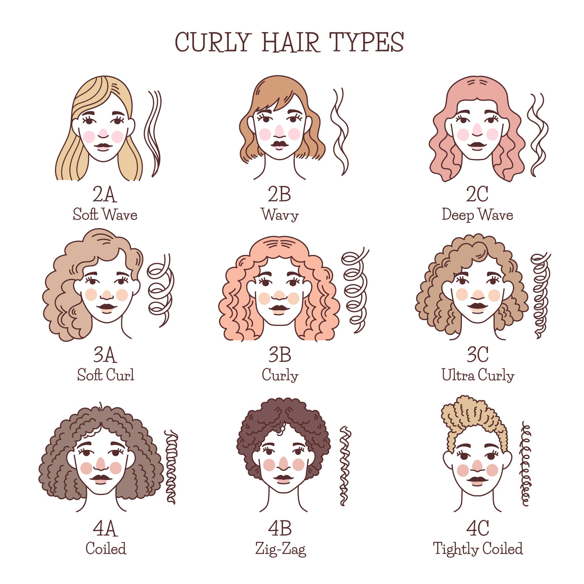 Classification du cheveux